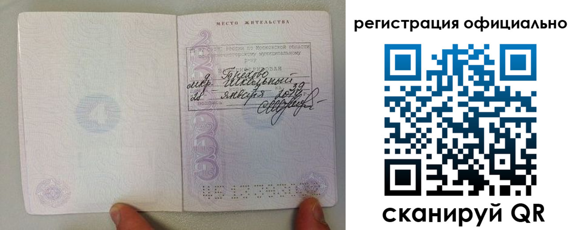 прописка штамп в Калининграде